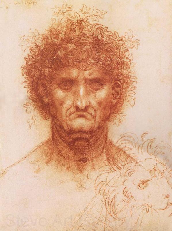 LEONARDO da Vinci Buste one frontal to seeing man and head of a Lowen Norge oil painting art